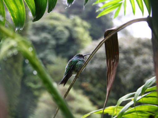 g7d483682be5c235a712d4d97a58ae8a0c29ae163da09b97424c50619abd1fd041c7b9eeb46939257ad7c492075d42557aa9860154e7e31b60a1ea965169fa4e7_1280